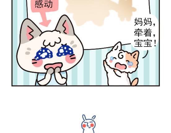 猫崽篇系列二