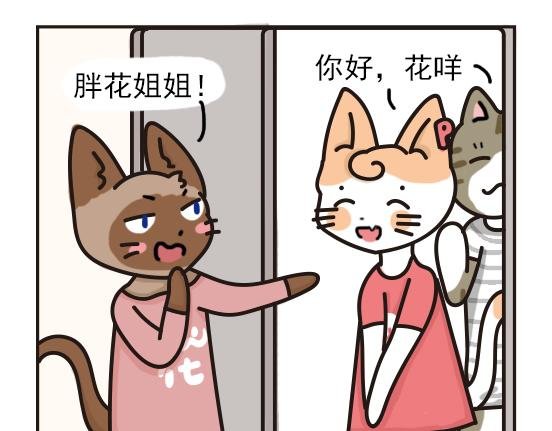 猫崽篇系列二