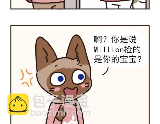 猫崽篇系列二