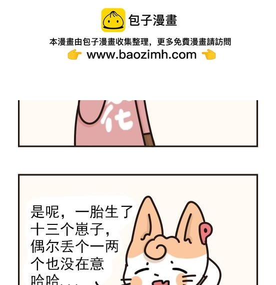 猫崽篇系列二