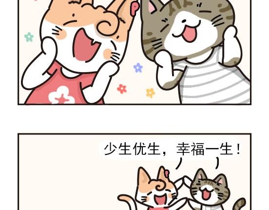 猫崽篇系列二