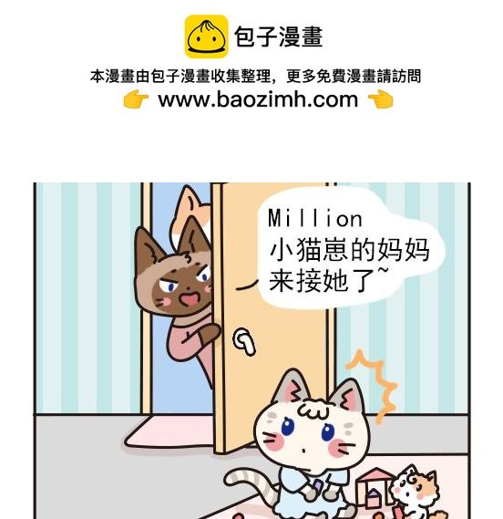 猫崽篇系列三
