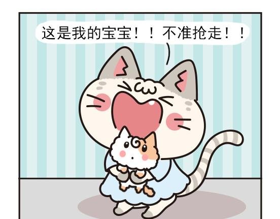 猫崽篇系列三