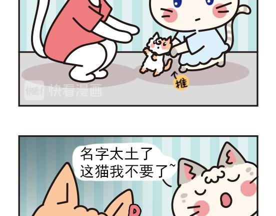 猫崽篇系列三