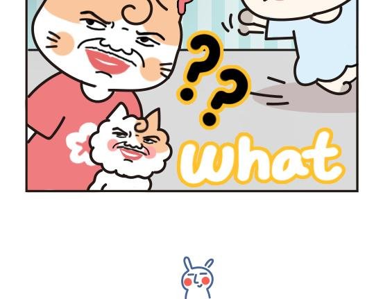 猫崽篇系列三