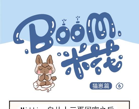 猫崽篇系列三