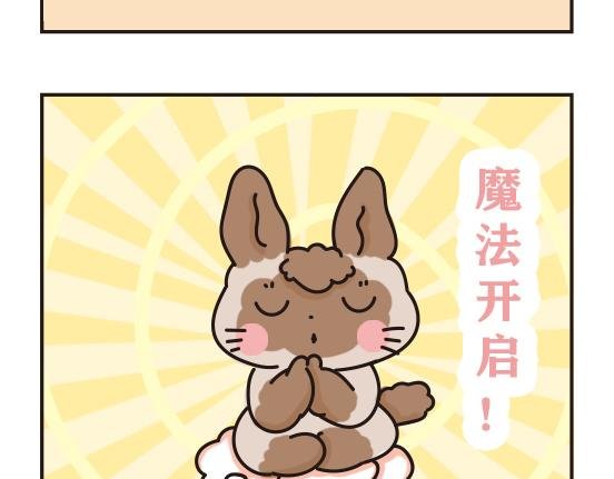 猫崽篇系列三