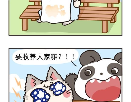 猫崽篇系列三