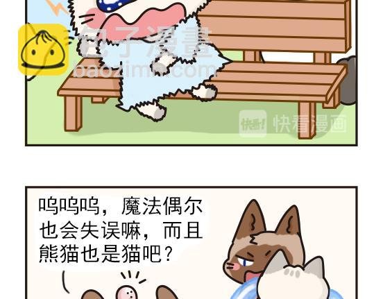 猫崽篇系列三
