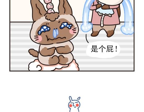 猫崽篇系列三