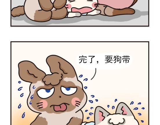 夏日篇系列一