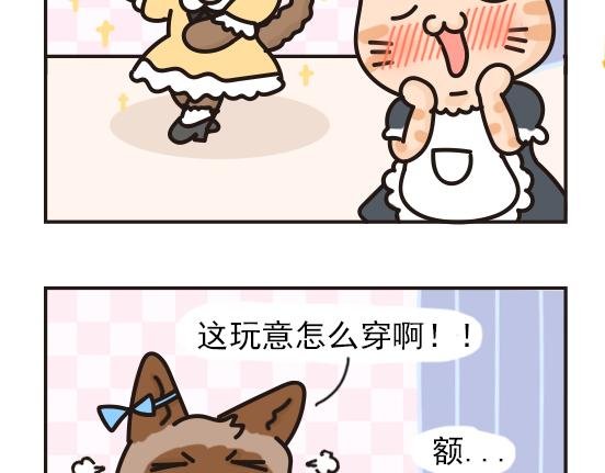 夏日篇系列二