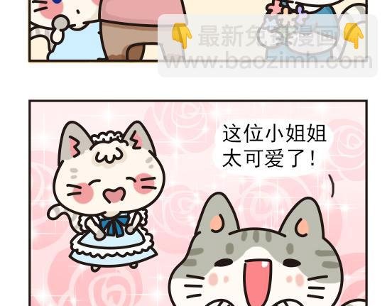 夏日篇系列三