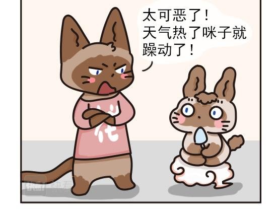 夏日篇系列三