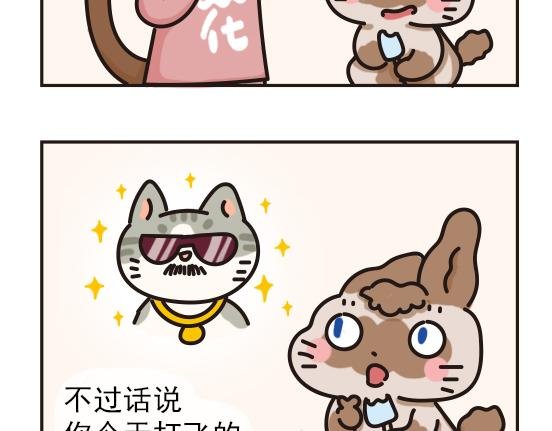 夏日篇系列三