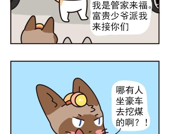 夏日篇系列四