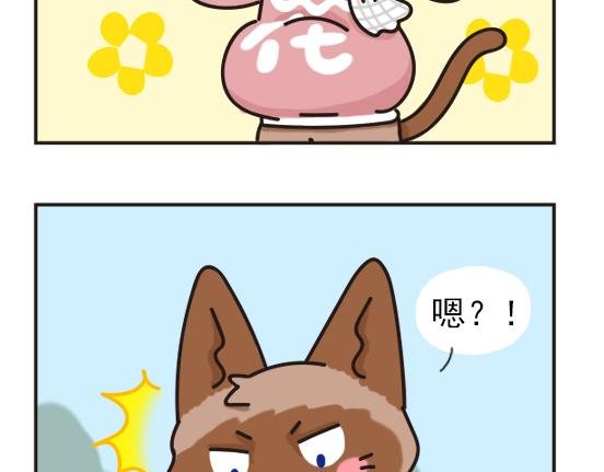 红薯篇