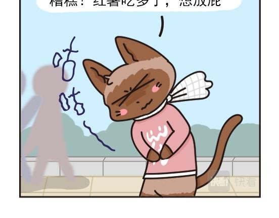 红薯篇