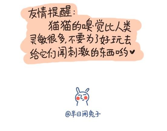 红薯篇