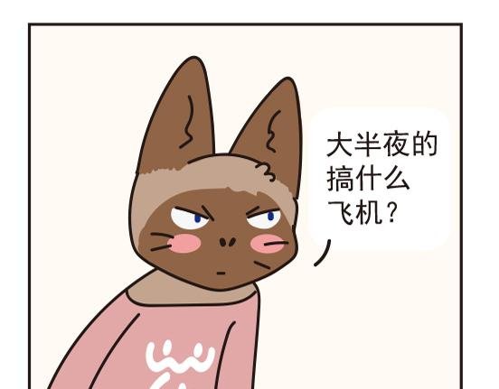 煤窑篇系列三