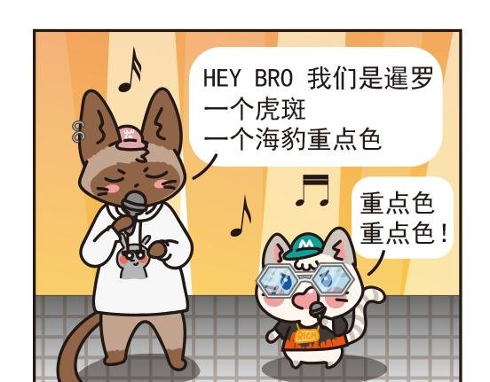 嘻哈篇系列三