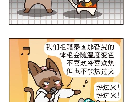 嘻哈篇系列三