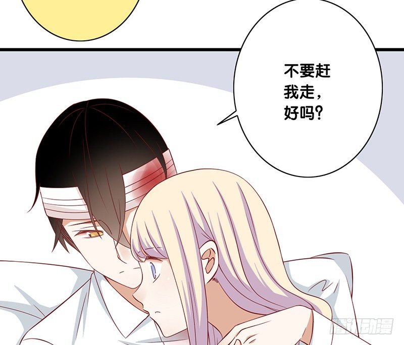 第23话 你的选择