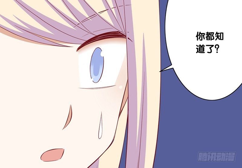 第23话 你的选择