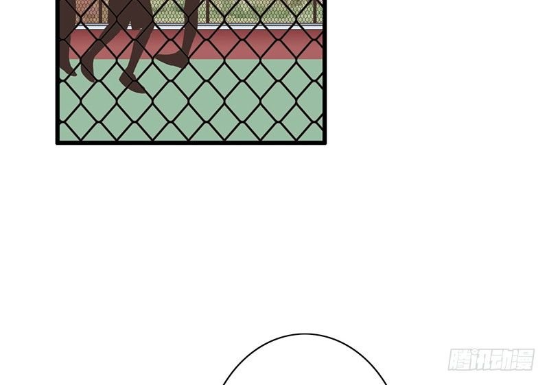第41话 暗中观察