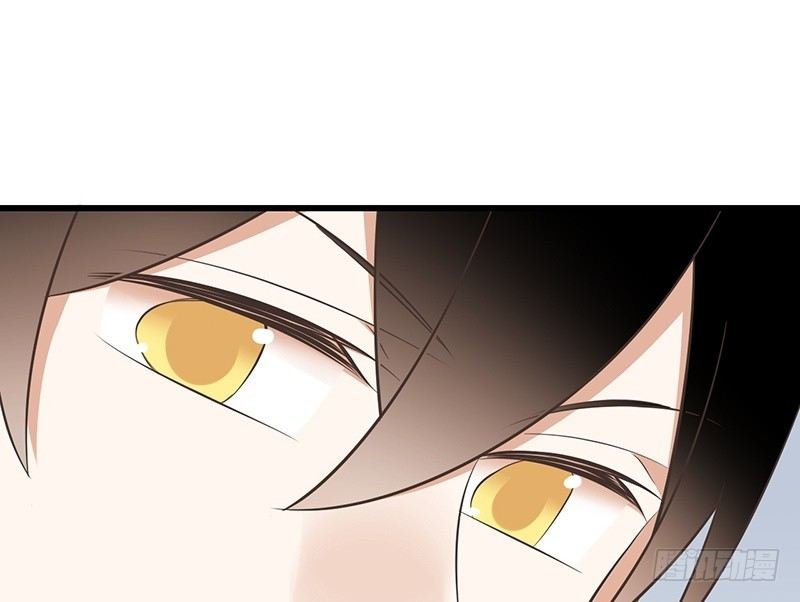 第41话 暗中观察
