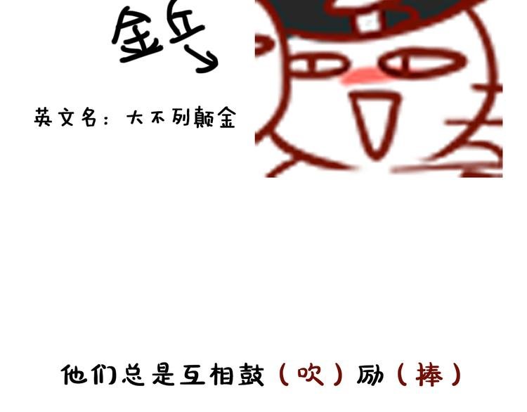 第18期 《整容游戏》
