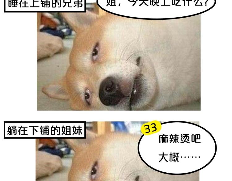 第15期 《时尚大片的诞生》