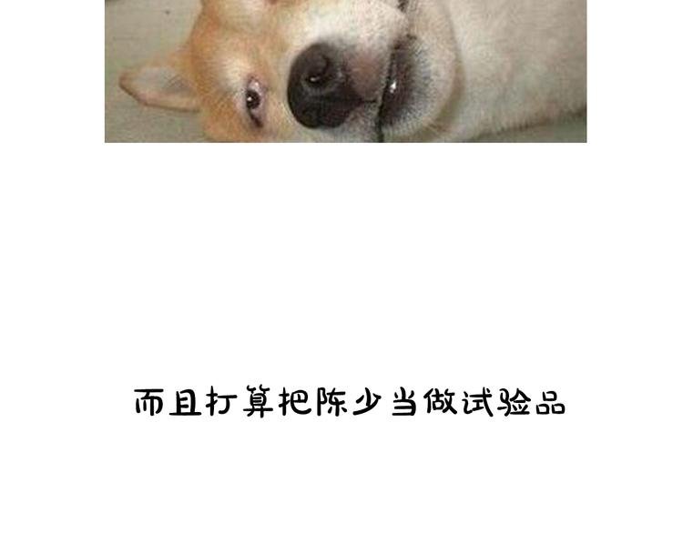 第15期 《时尚大片的诞生》