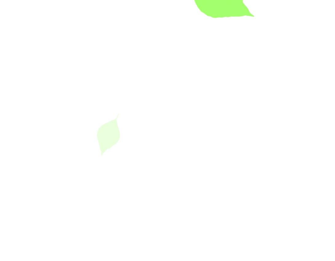 前言