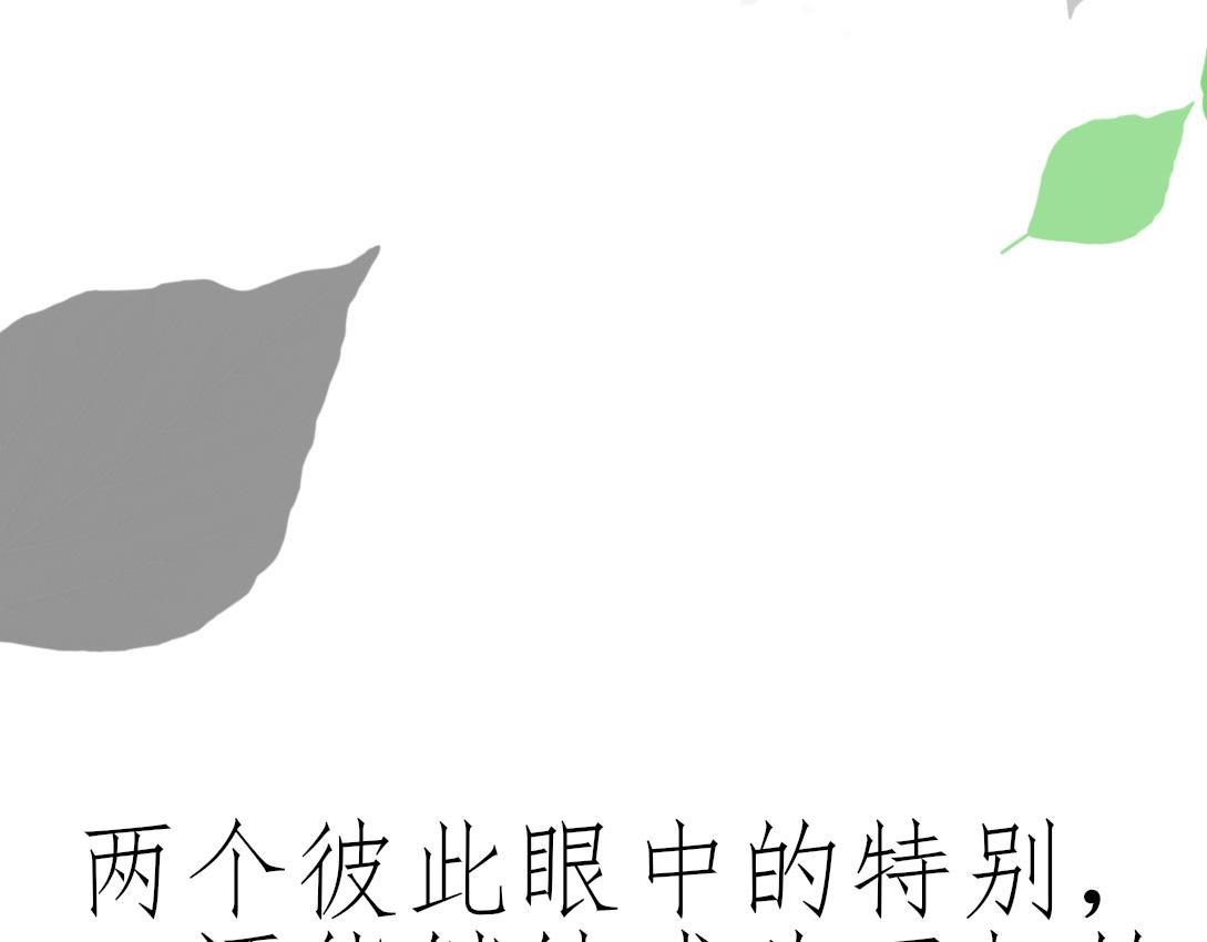 前言
