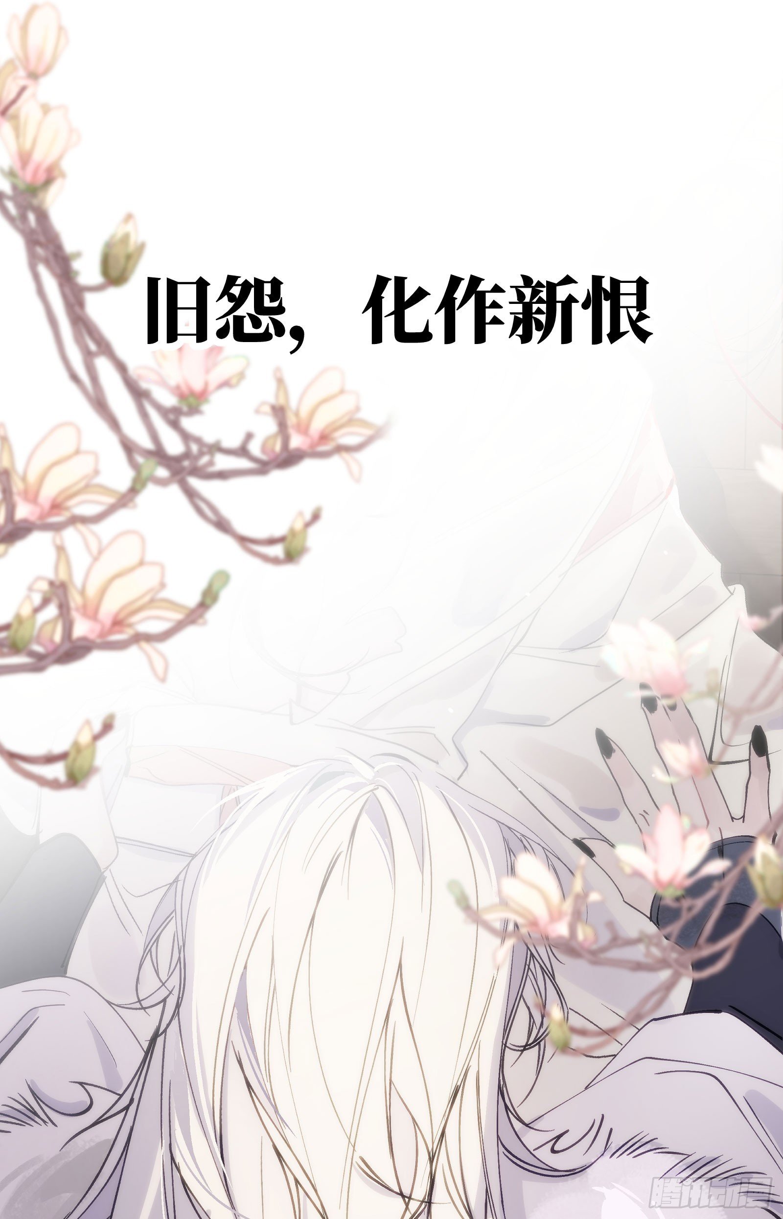 人设和故事