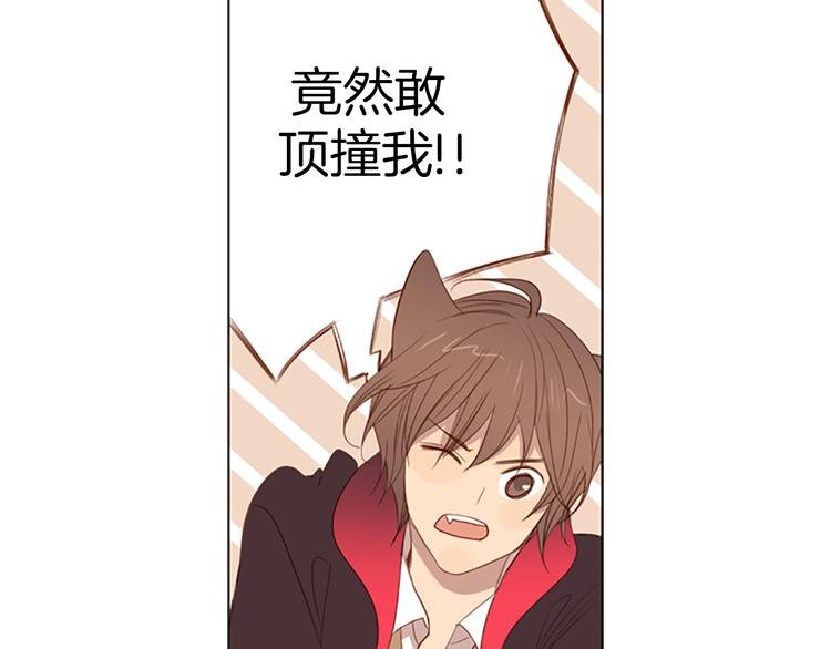 第6话 可疑的事情