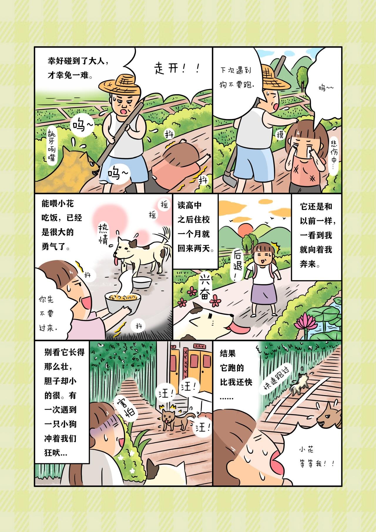 《小花们》