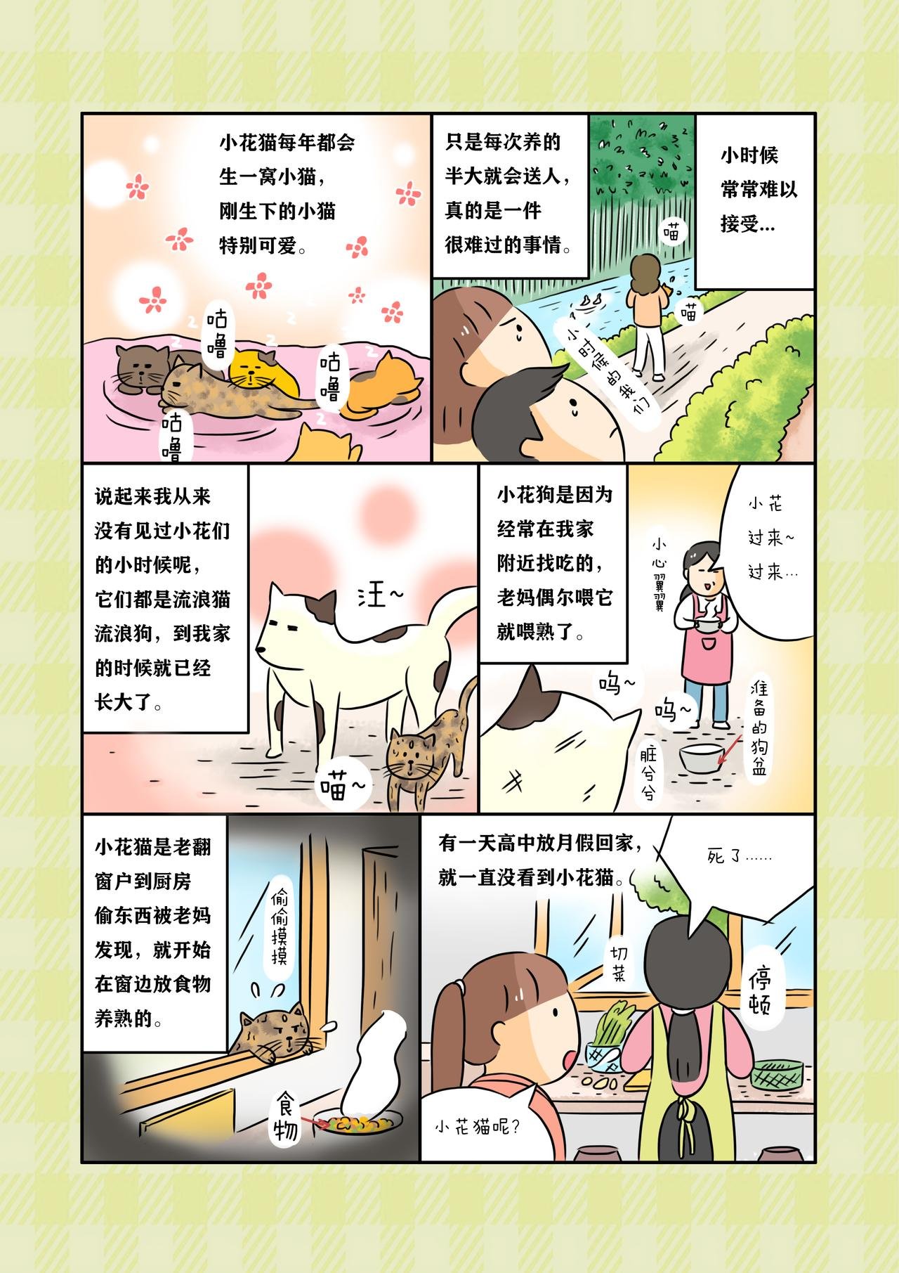 《小花们》