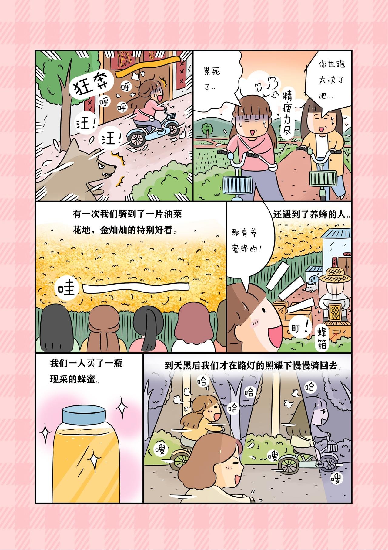 《永远灿烂美好的学生时代》