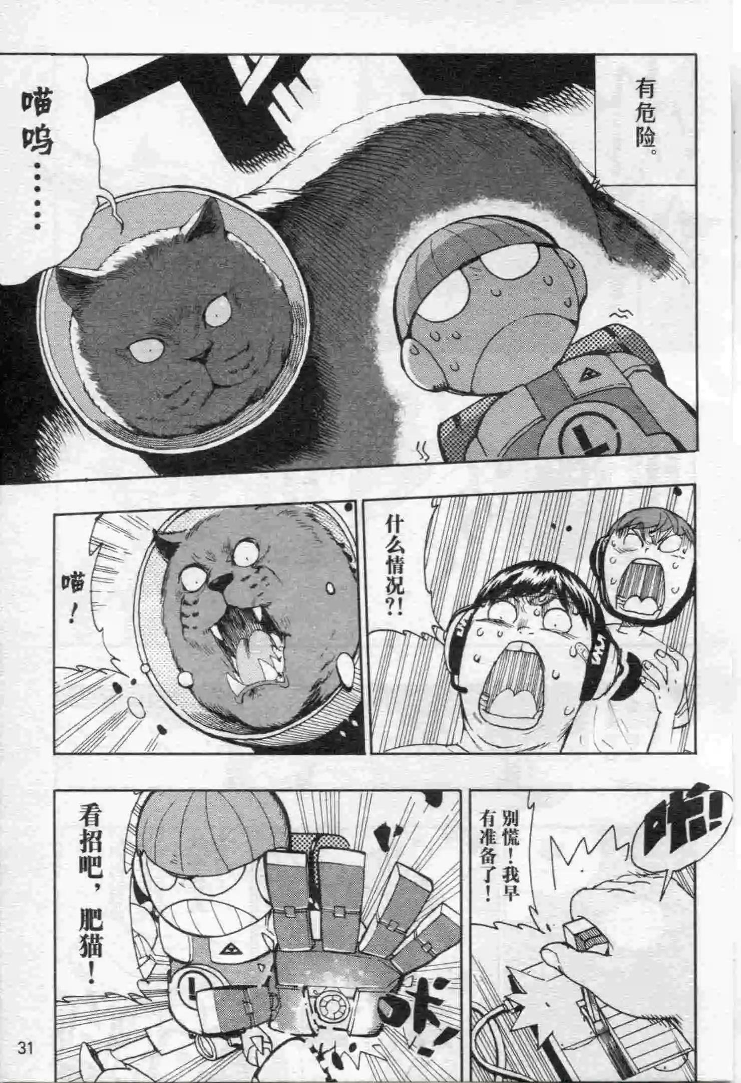 第17期