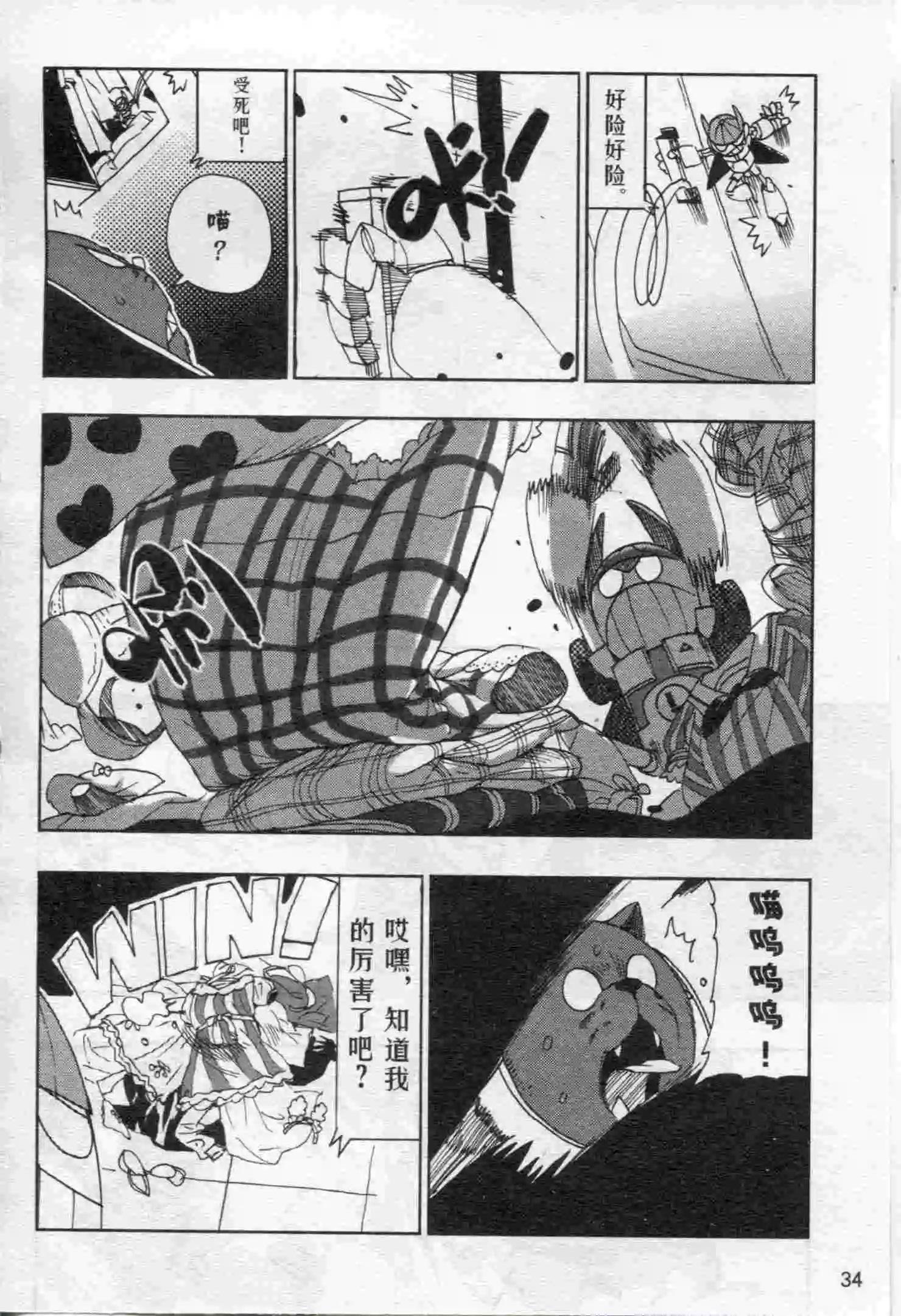 第17期