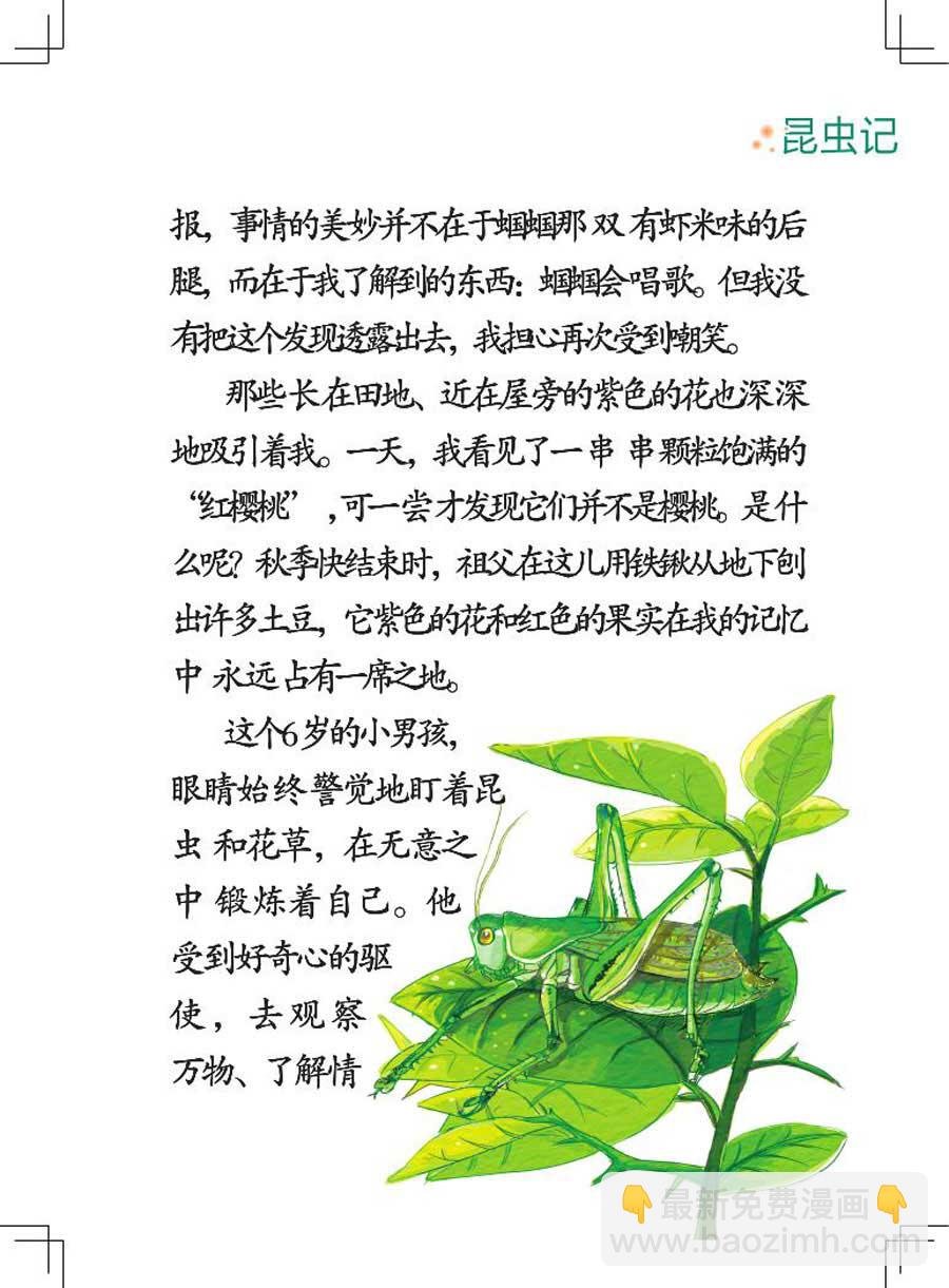 昆虫记 第1集