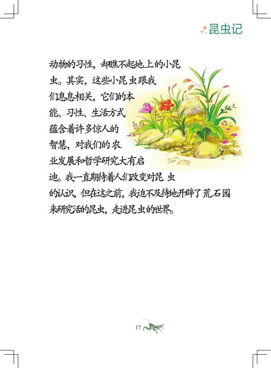 昆虫记 第1集