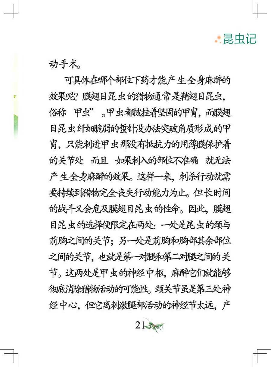 昆虫记 第1集