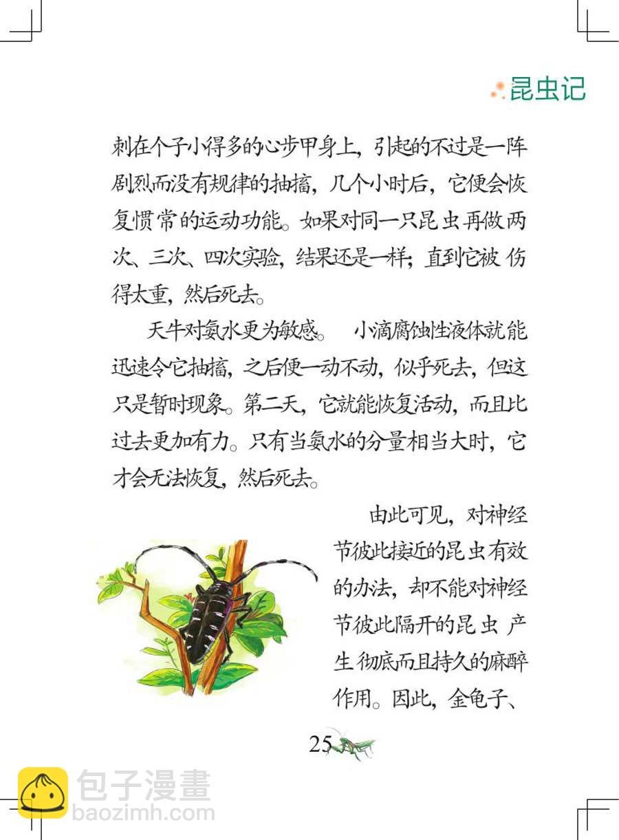 昆虫记 第1集