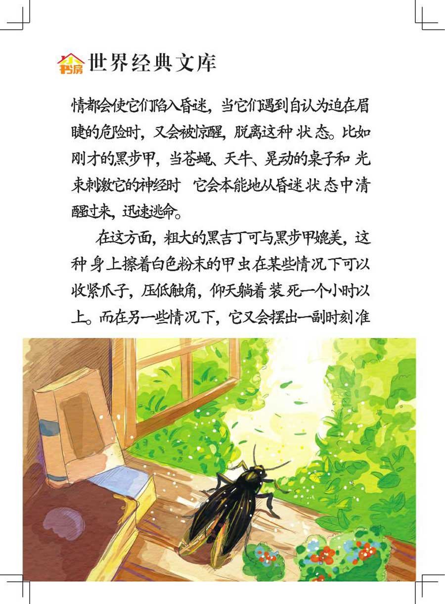 昆虫记 第1集