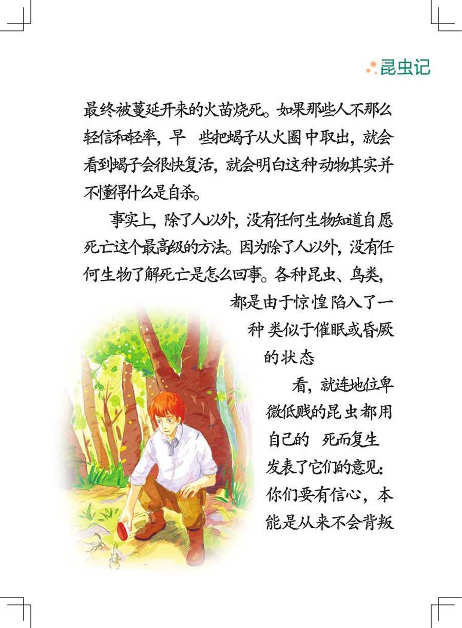 昆虫记 第1集