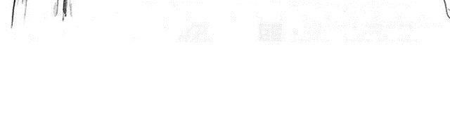 第3话 气球