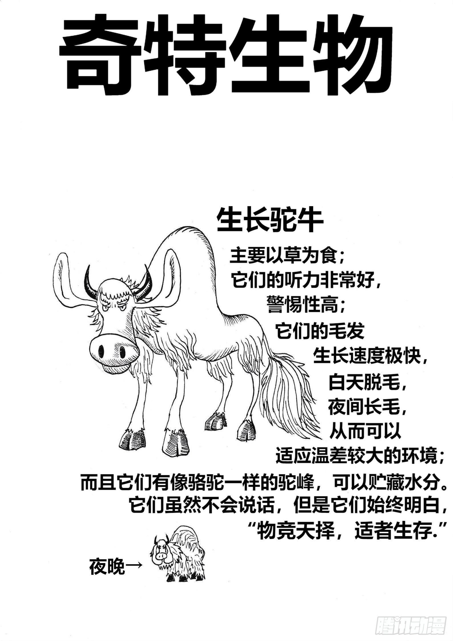 愤怒的眼泪